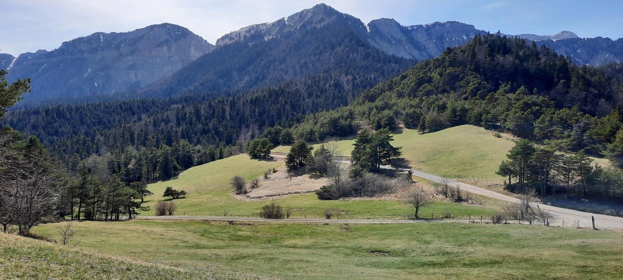 Les Vagabonds Du Mont Bed and Breakfast Chichilianne Buitenkant foto
