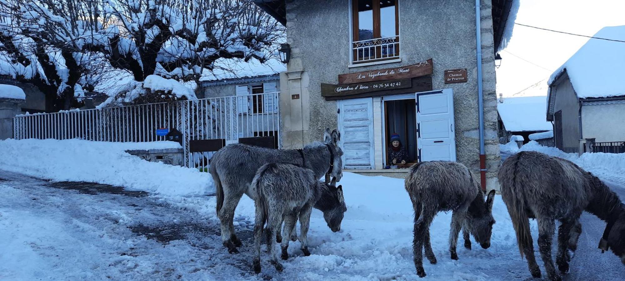 Les Vagabonds Du Mont Bed and Breakfast Chichilianne Buitenkant foto